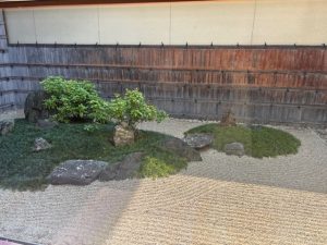 IMG_1204